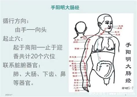 三陽三陰|三、經絡命名的原由